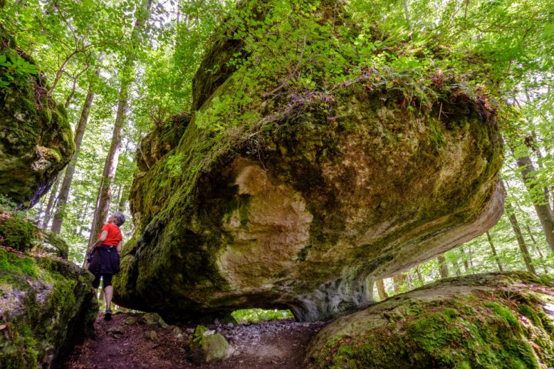 Karstkundlicher Wanderweg, Hersbruck